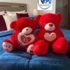 Picture13 Teddy Bear