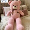 Teddy Bear 2