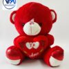 Picture7 Teddy Bear