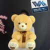 WhatsApp Image 2026-07-28 at 11.36.16 PM Teddy Bear