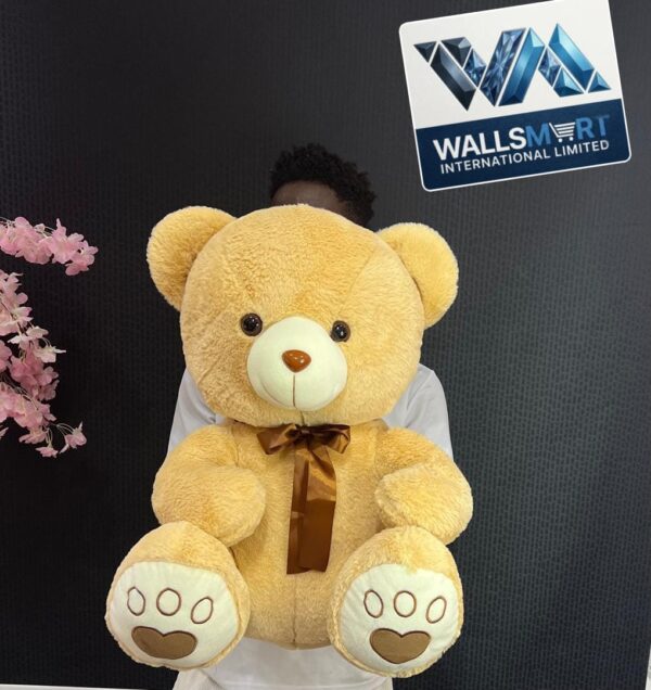 WhatsApp Image 2026-07-28 at 11.36.16 PM Teddy Bear