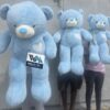 WhatsApp Image 2026-07-28 at 11.36.24 PM (1) Teddy Bear