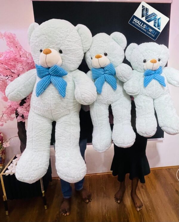 WhatsApp Image 2026-07-28 at 11.36.28 PM Teddy Bear